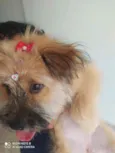 Princesa