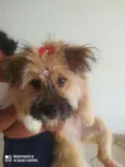 Princesa
