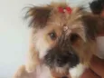 Princesa