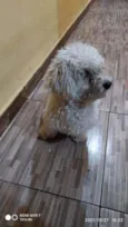 Teo