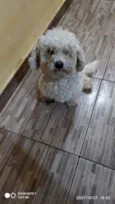 Teo