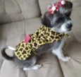 Julie 