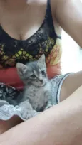 Grey