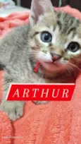 Arthur