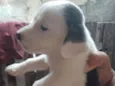 São recém nascido s
