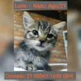 LUNA