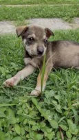 Luna