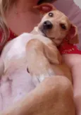 Bartolomeu
