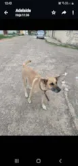 Xuxa