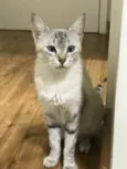 Debbie