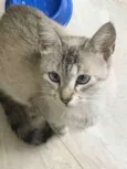 Debbie