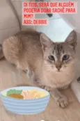 Debbie