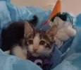 LUCKY