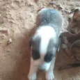 Esperanças