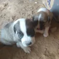 Esperanças