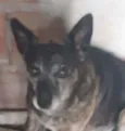 Penélope