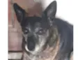 Penélope 