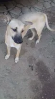 Não  tem