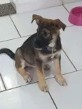Nina