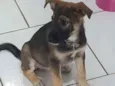 Nina