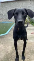 Pelé