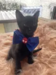 Rafael