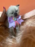 Luiza