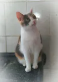 Paco