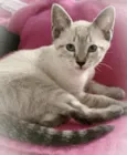 Lua & irmas