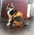 Samara