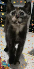 Fiona