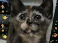 Fiona
