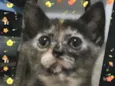 Fiona