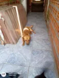 Bebê