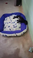 Pelé