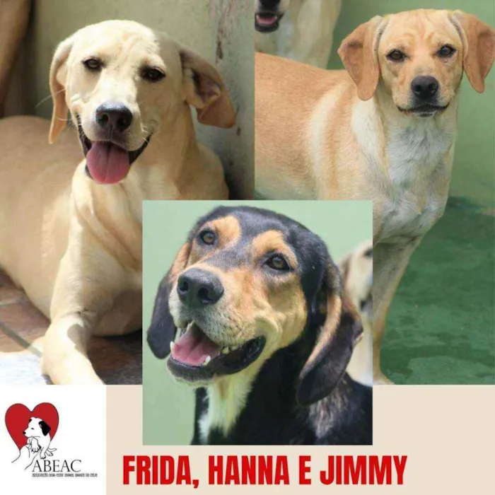FRIDA, HANNA E JIMMY