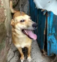 Nilay