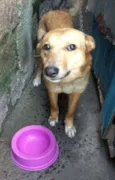 Nilay