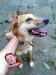Nilay