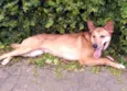 Nilay