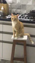 Oliver