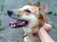 Nilay