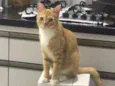 Oliver
