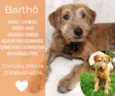 Barthô 