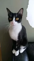 Margô