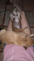 Ainda não tem nome
