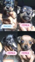 Sem nome