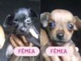 Sem nome