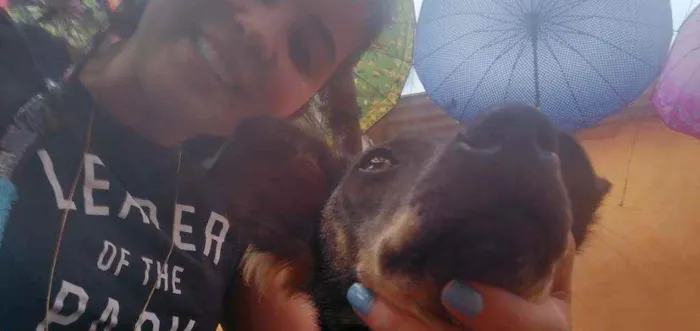 Cachorro ra a Sem raça definida idade 7 a 11 meses nome Linda