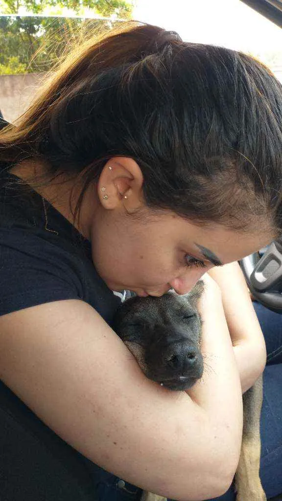 Cachorro ra a Sem raça definida idade 7 a 11 meses nome Linda